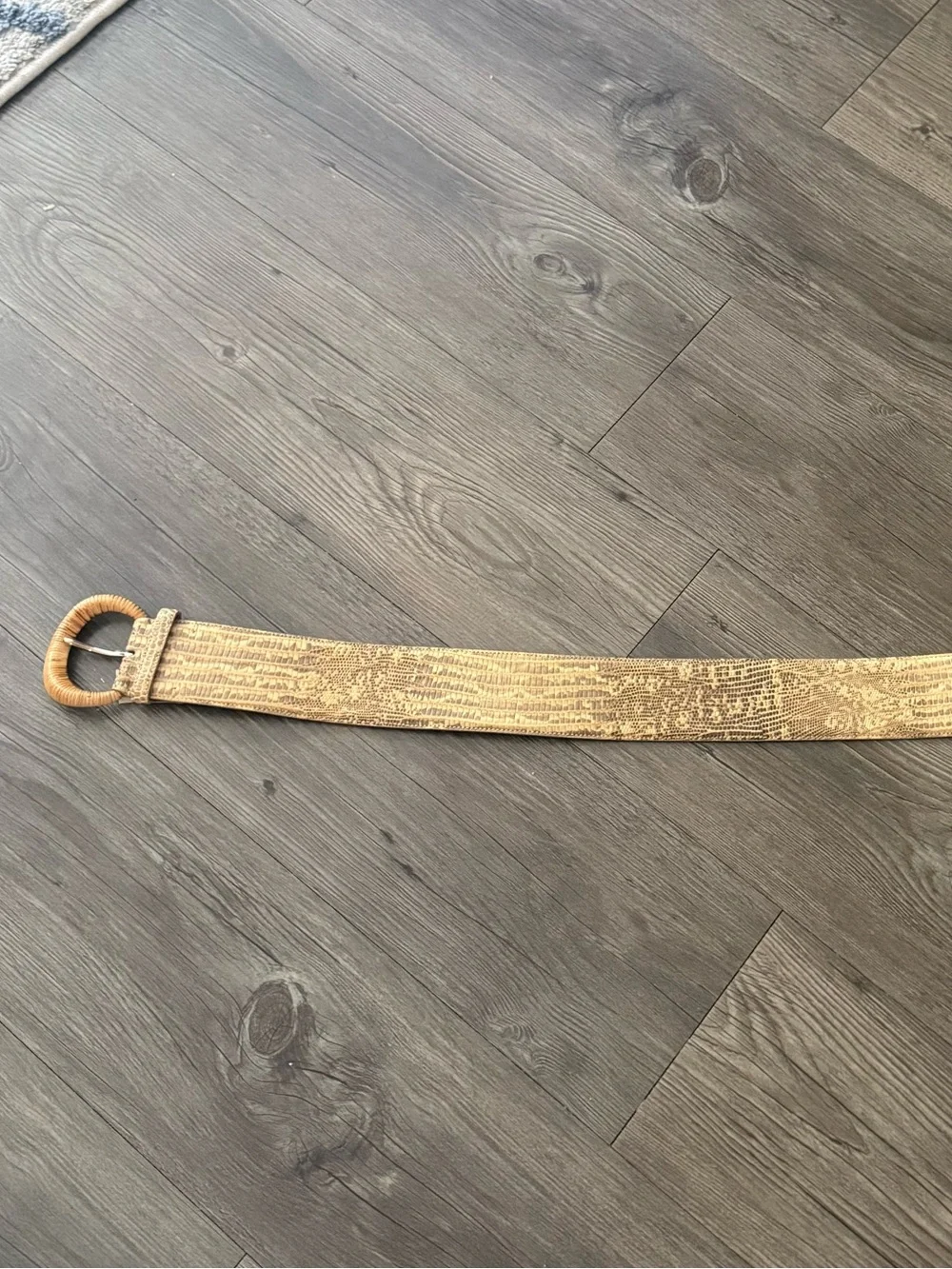 Ralph Lauren Collection Genuine Lizard Belt Made In Italy Size M $1095 MSRP Rare